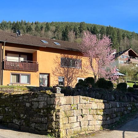 Апартаменти Viva La Wildbad Бад-Вільдбад Екстер'єр фото