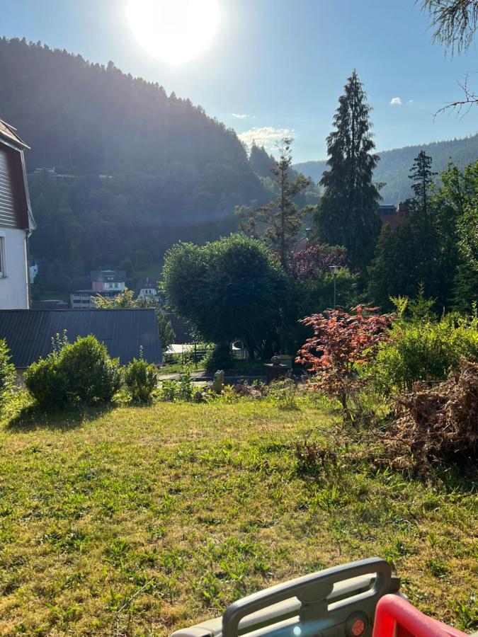 Апартаменти Viva La Wildbad Бад-Вільдбад Екстер'єр фото