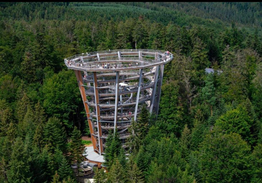 Апартаменти Viva La Wildbad Бад-Вільдбад Екстер'єр фото