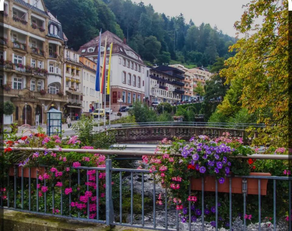Апартаменти Viva La Wildbad Бад-Вільдбад Екстер'єр фото