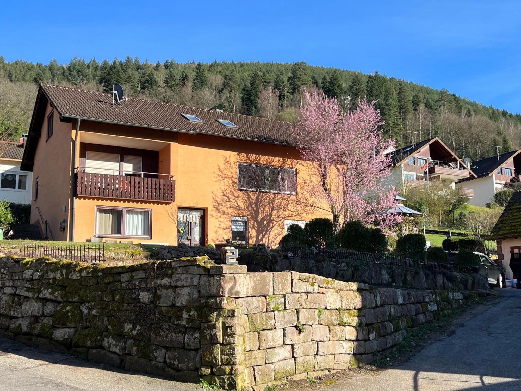 Апартаменти Viva La Wildbad Бад-Вільдбад Екстер'єр фото