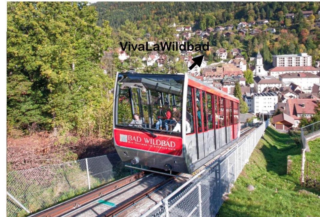 Апартаменти Viva La Wildbad Бад-Вільдбад Екстер'єр фото